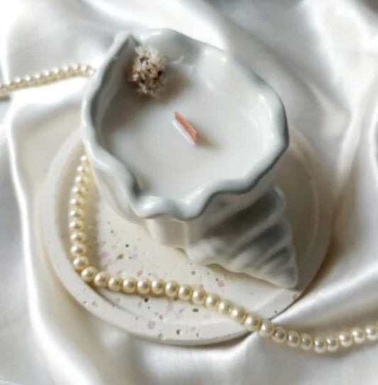 Concrete Seashell