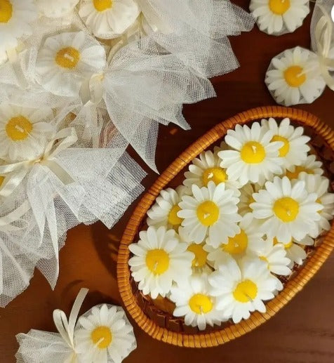 Daisy
