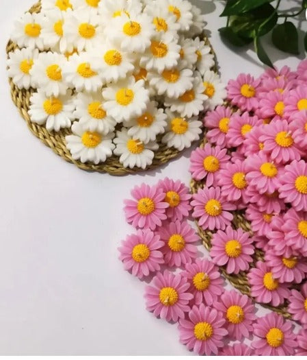 Daisy