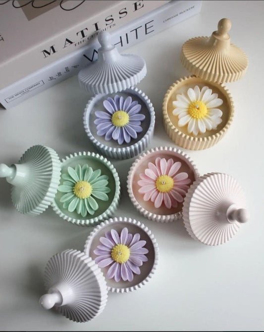 Concrete jar (With Daisy)